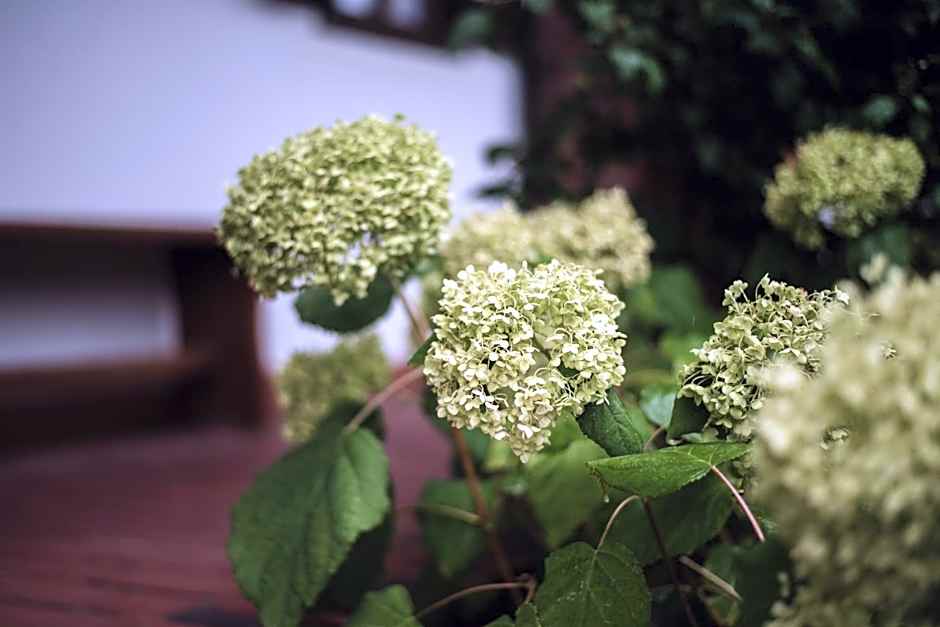 Öreg Prés Butikhotel