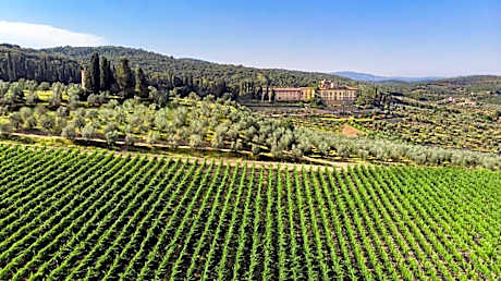 Torre a Cona Wine Estate