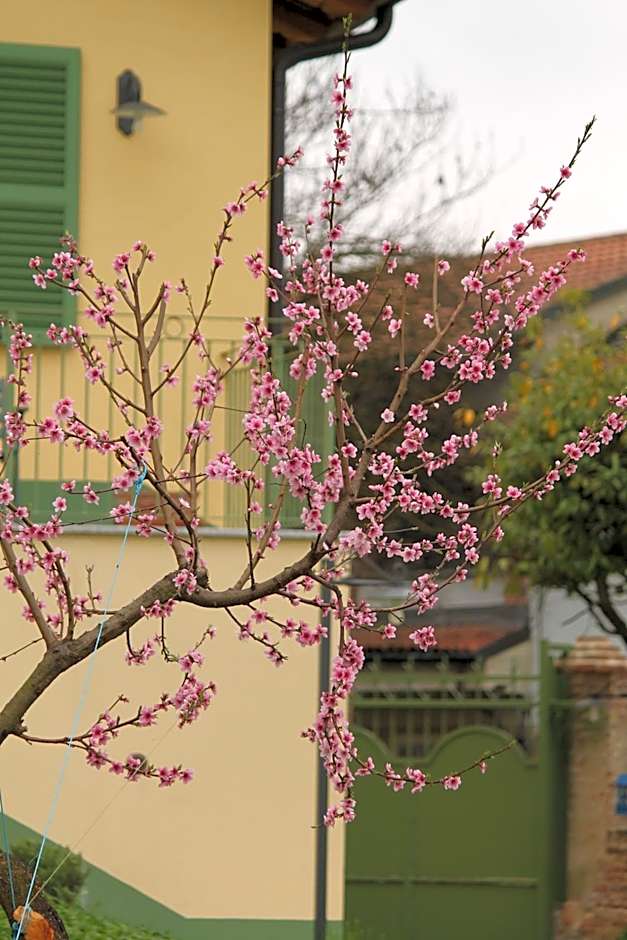 LA CUCCAGNA DI DON BOSCO - No landlords and neighbours - Absolute privacy!