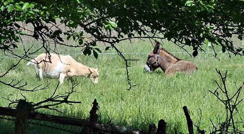 Eco Logis de Chantegrolle