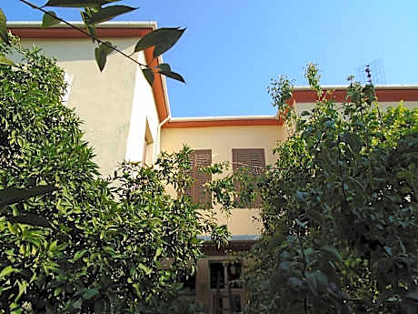 LOTUS GARDEN HOSTEL