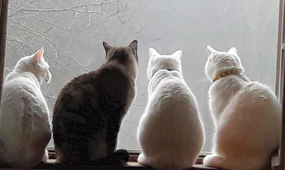 Manoir de la Peignie