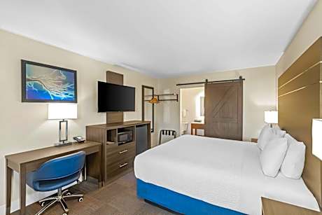 1 King Bed Non-Smoking