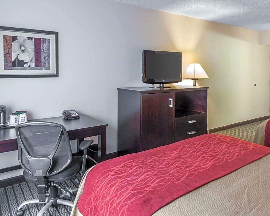 Comfort Inn & Suites BWI Airport