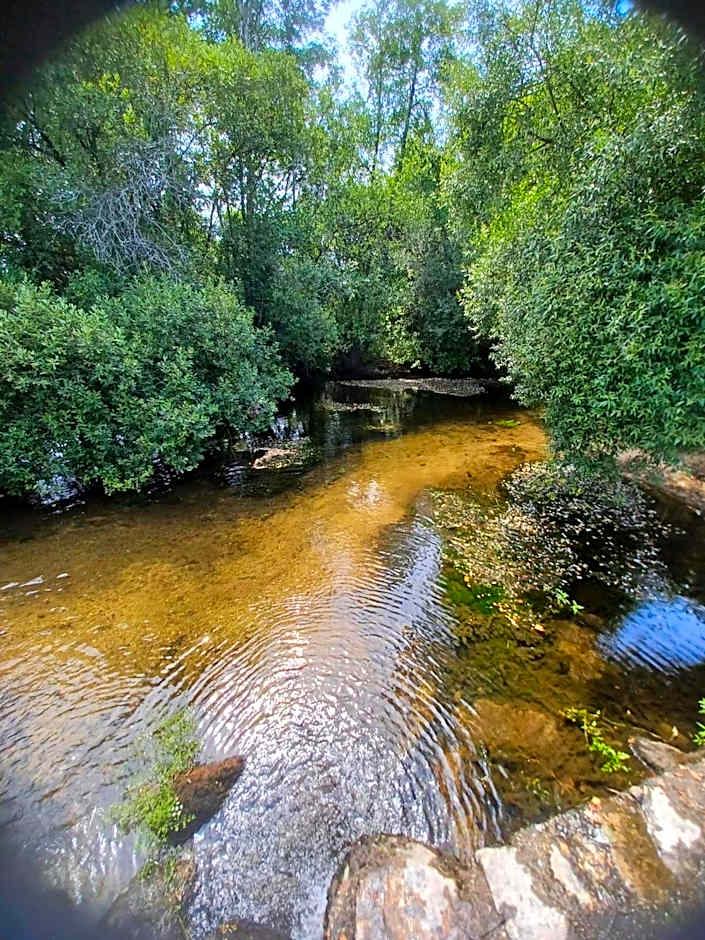 Leonchic - Guest House com Piscina de Água Salgada