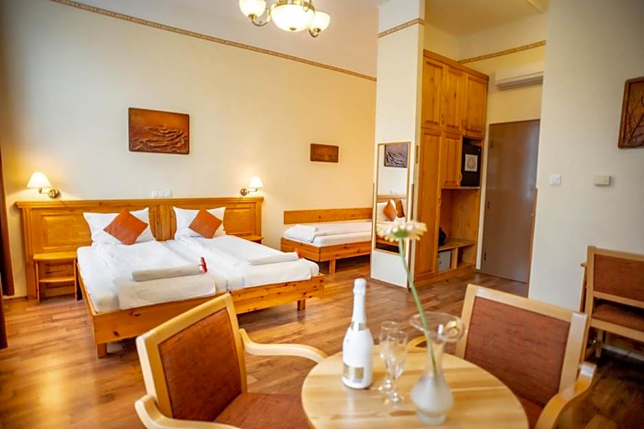 Hotel Manzard Panzio