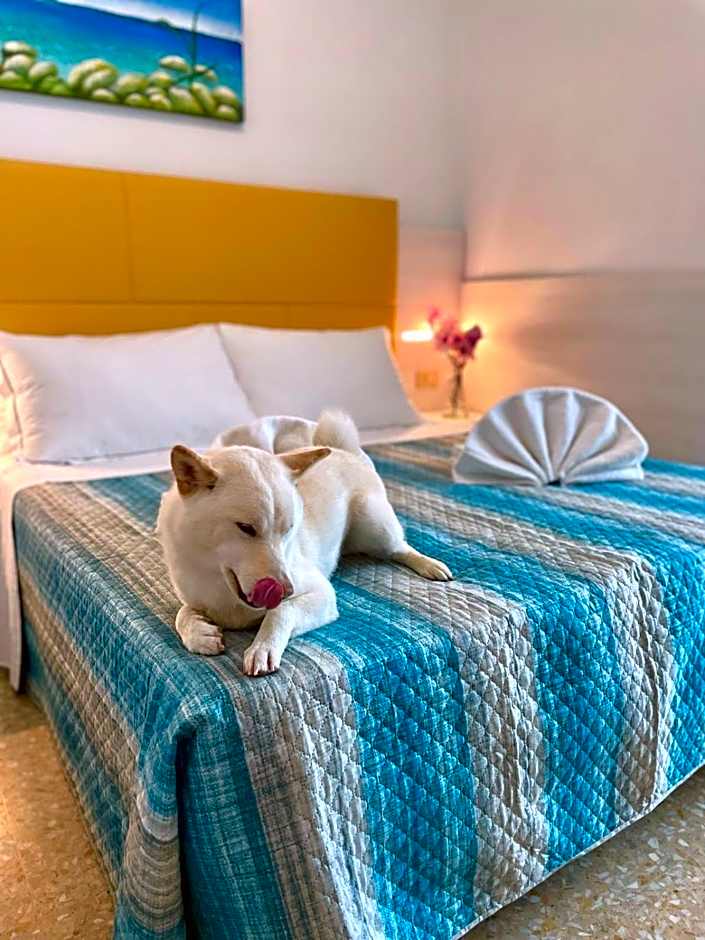 Hotel Crystal con Piscina Estiva Privata - SPIAGGIA INCLUSA con Formula All Inclusive