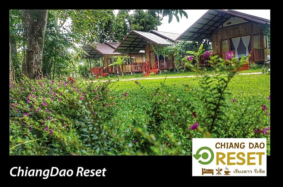 Chiang Dao Reset