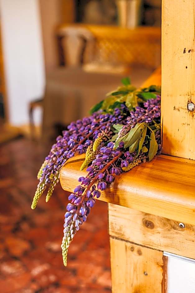 Hotel Chata Za Wsią