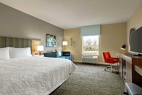 King Room with Sofa Bed