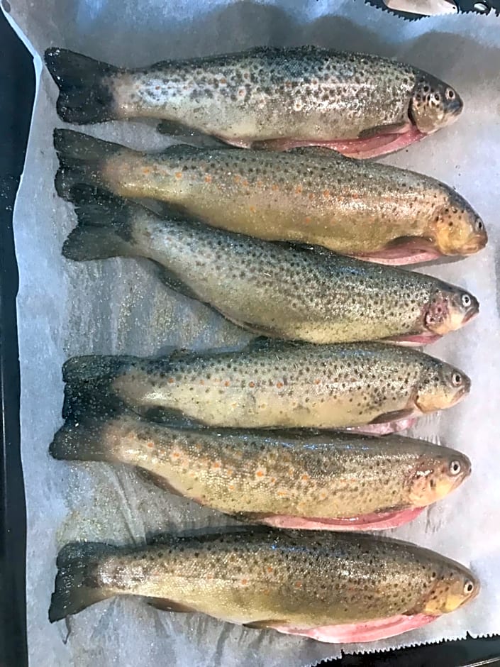 Les chambres de la Dourbie