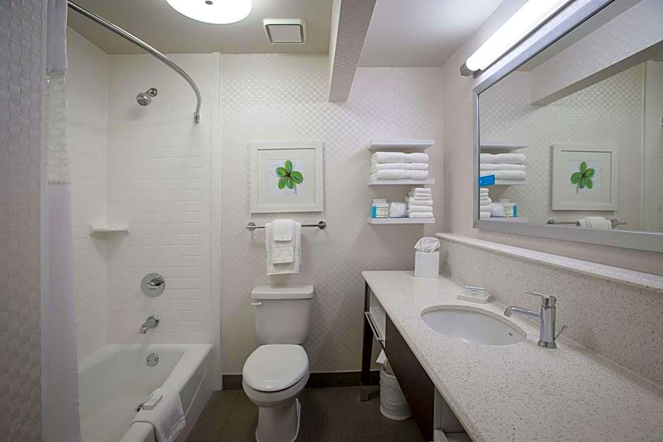 Hampton Inn By Hilton And Suites New Orleans-Elmwood