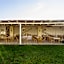 Masseria Rauccio