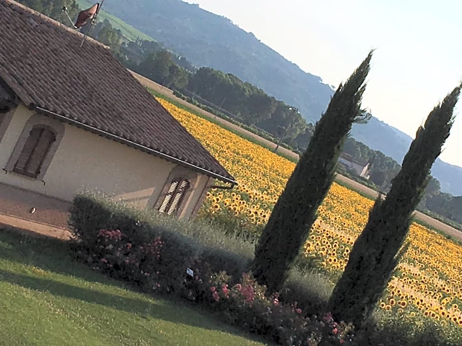 Agriturismo Le Rondini Di Francesco Di Assisi