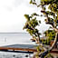 Kizikula - Boutique Hotel
