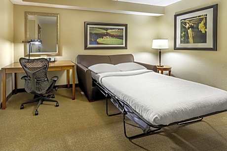 Junior King Suite with Sofa Bed