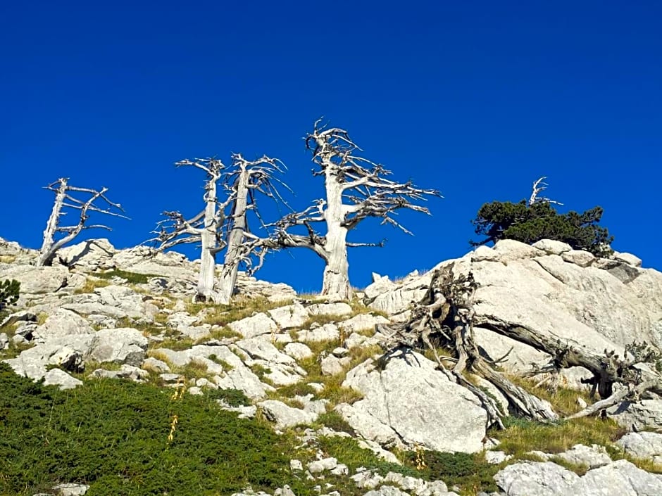 Tana Libera Tutti 1 Nature, Yourself, Love