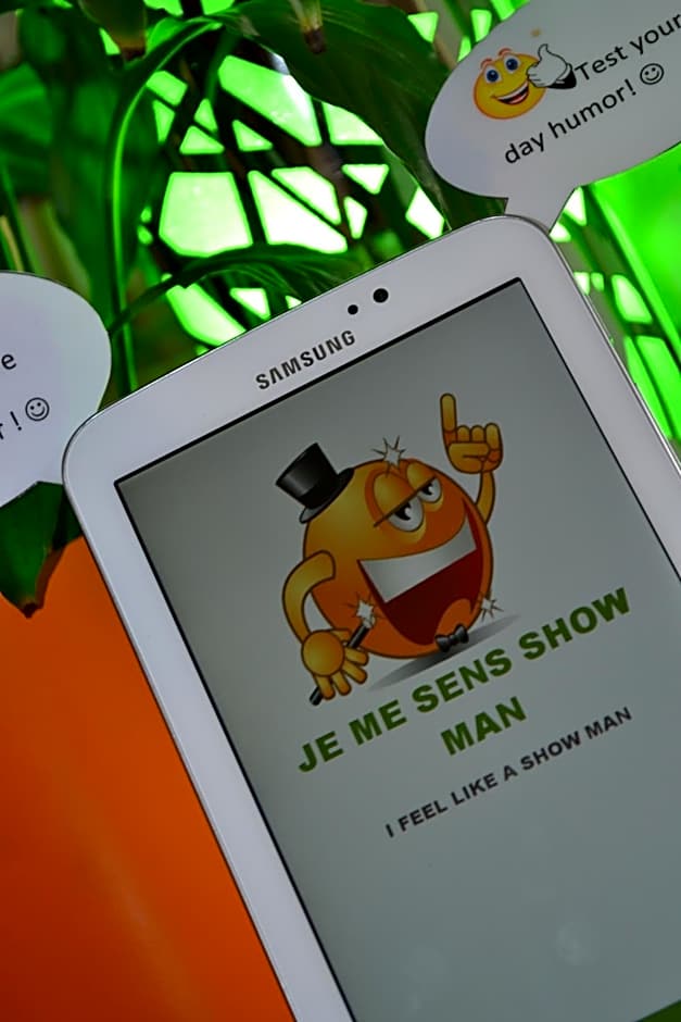 ibis Styles Belfort Centre