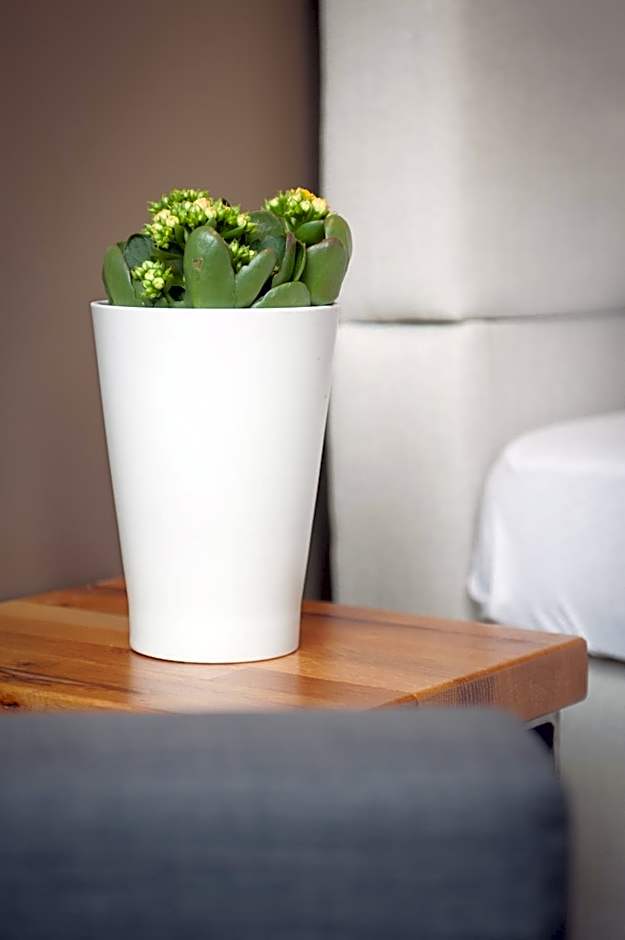 Five Reasons Hostel & Hotel