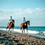 Villaggio Camping Poseidon - Bungalows & Rooms with Sea View in Nature