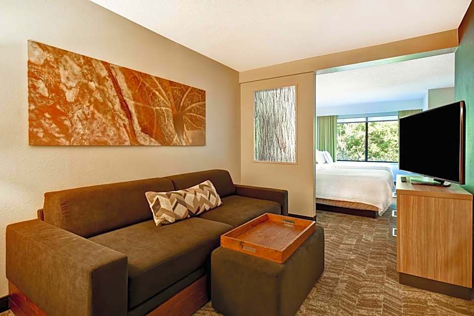 SpringHill Suites by Marriott Atlanta Kennesaw