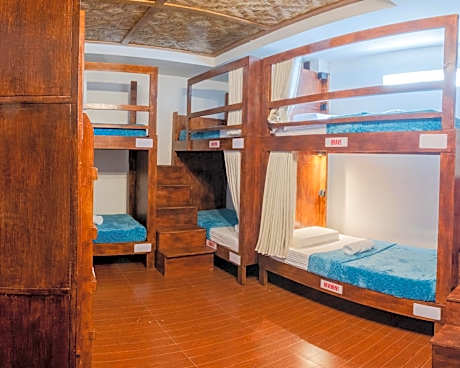 Bunk Bed in Mixed Dormitory Room