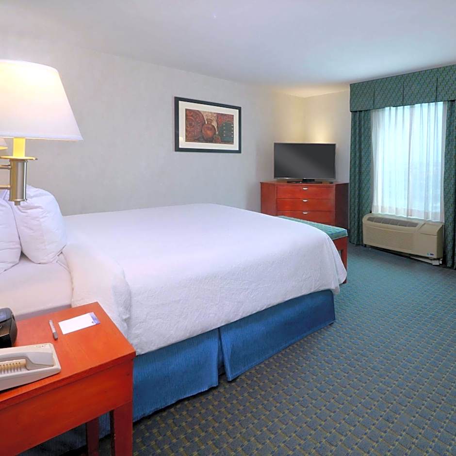 Hampton Inn By Hilton Reynosa