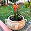 Villa Marogna Rooms And Breakfast