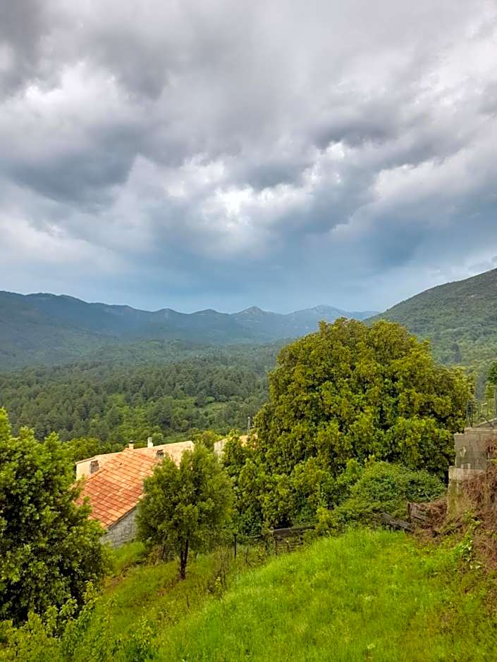 Chambres d'Hôtes Villa Cardellini