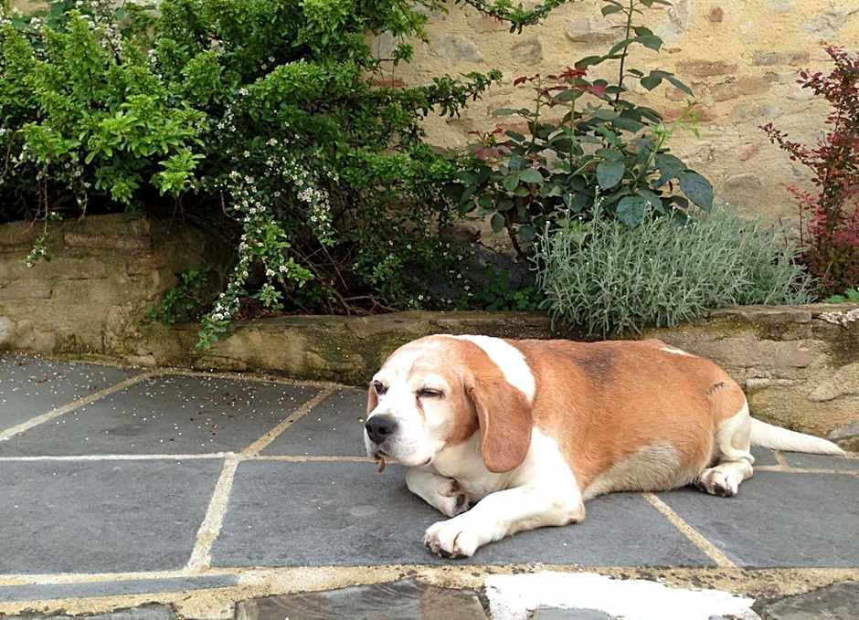 Residenza D'epoca Il Biribino