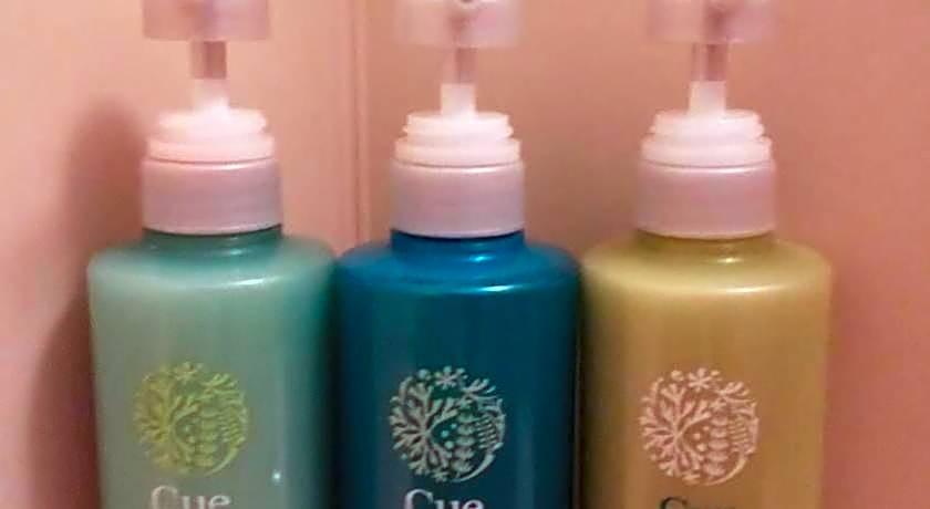 Hotel Route Inn Nagahama Inter