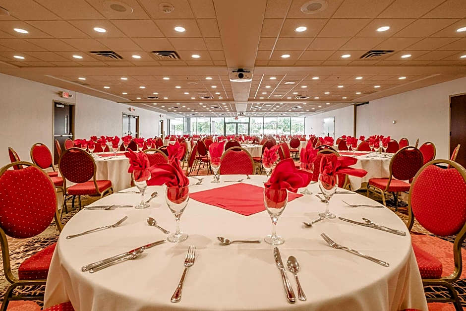 Radisson Hotel St Paul Downtown