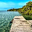 Bufo Alvarius Sanctuary Bacalar