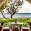 Domes Aulus Zante, Autograph Collection