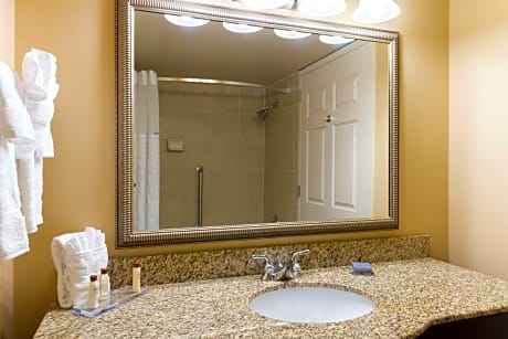 Deluxe King Suite