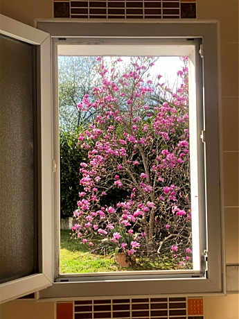 Queen Room - Disability Access