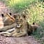 Muweti Bush Lodge