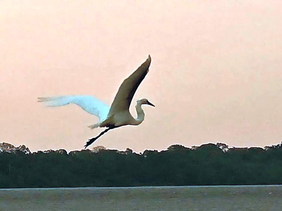 Pousada Bosque dos Aruãs