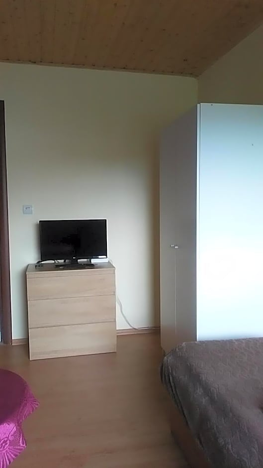 Ginto svetingi namai