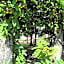 Hotel Gioia Garden
