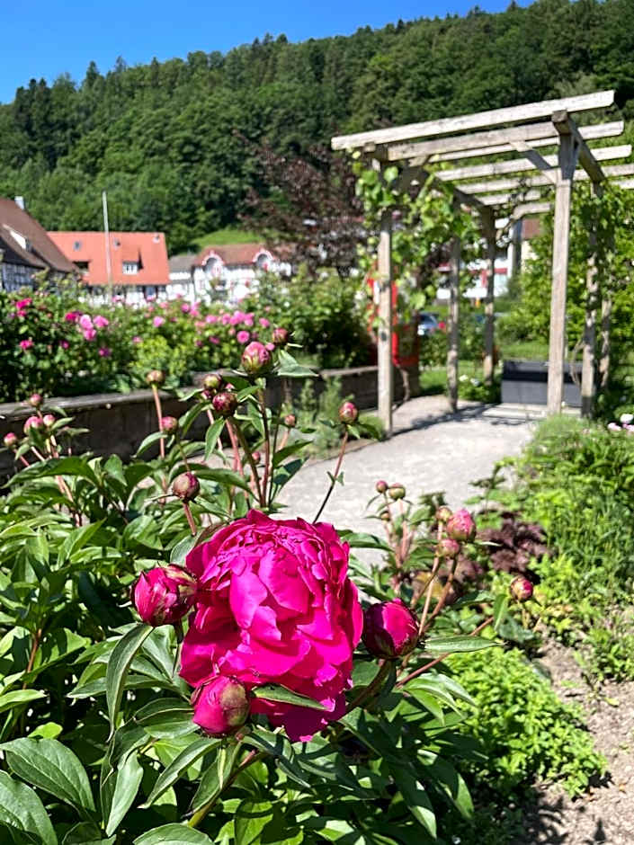 Hotel Harzer am Kurpark