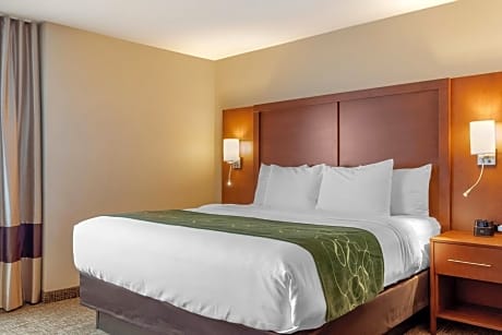 Superior King Suite with Sofa Bed - Non-Smoking