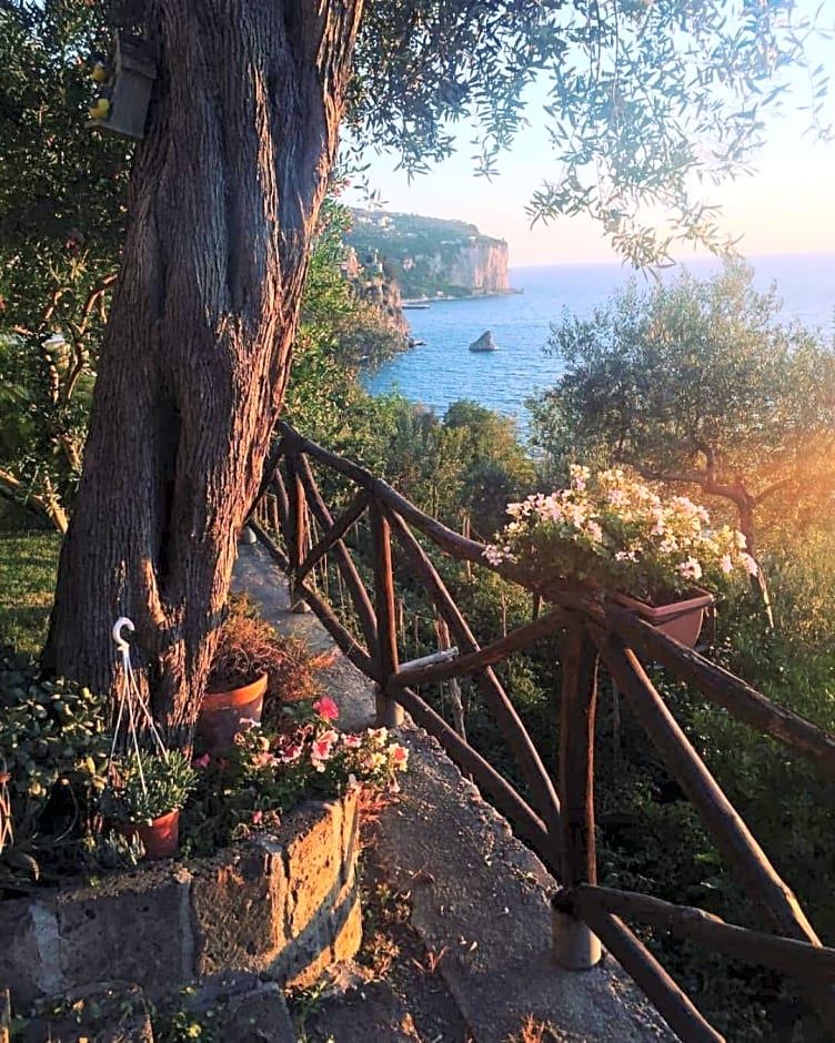 La Palombara – Vico Equense, CO