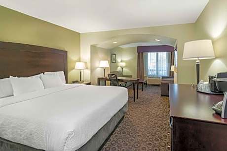 One-Bedroom King Suite with Sofa Bed - Non-Smoking