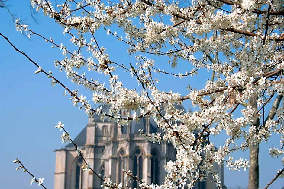 Hôtel La Villa Lorraine