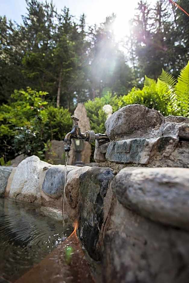 Waldhotel Bad Jungbrunn