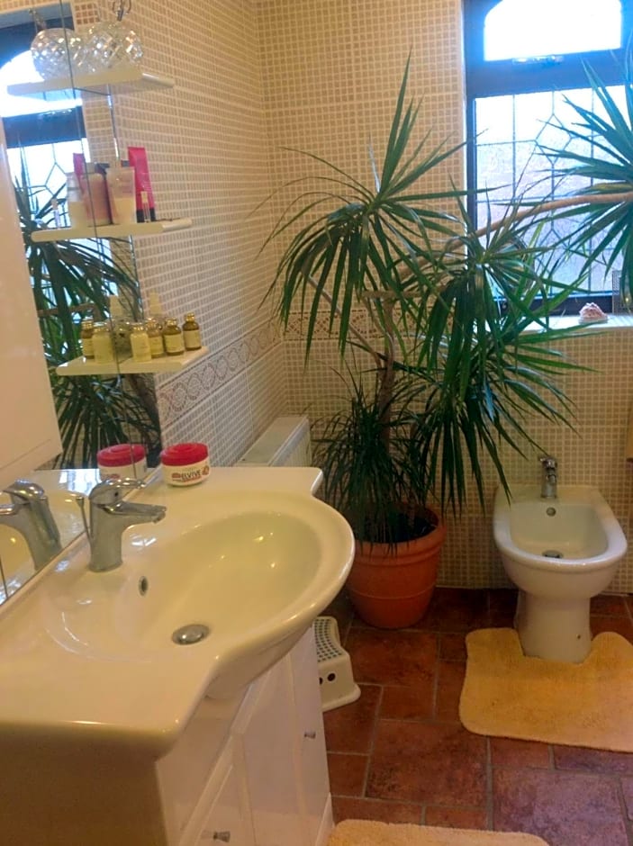 The Cedars House B&B