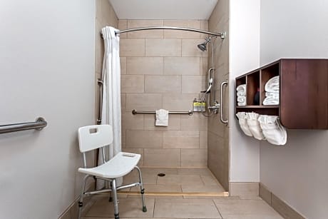 King Room - Disability Access Roll in Shower