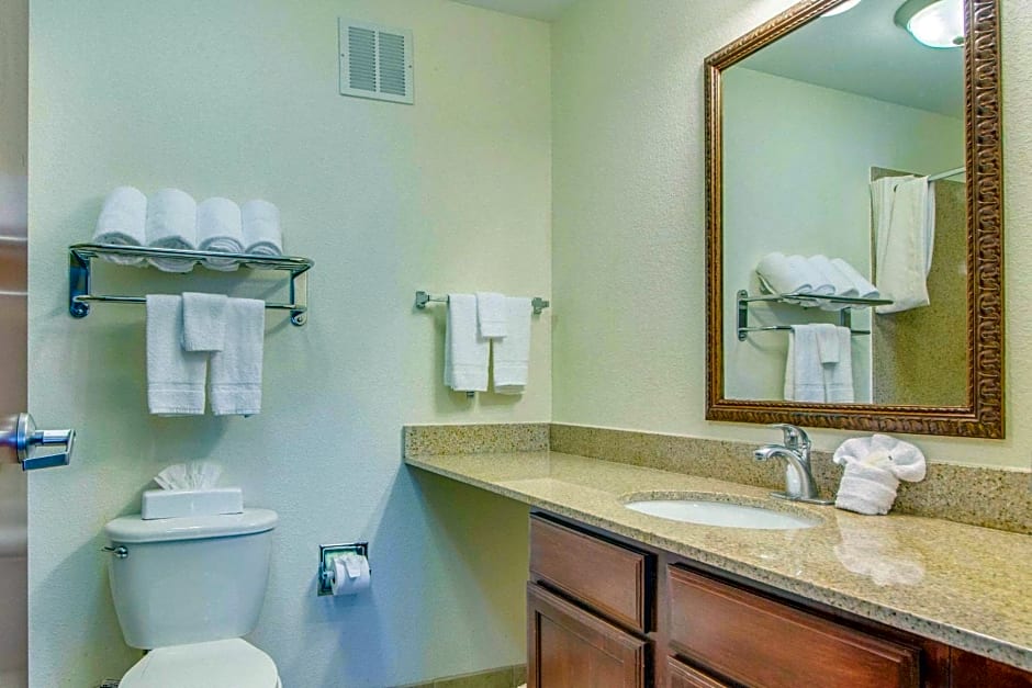 Mainstay Suites Texas Medical Center/Reliant Park