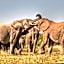 Addo Elephant Safari Lodge - Bellevue Forest Reserve